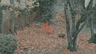 Animated fallback
